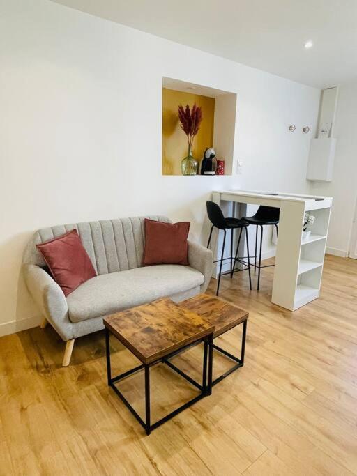 Le Belloc- Suberbe Appartement T1 Bis - Au Calme - Terrasse - Vue Jardin Agen Esterno foto